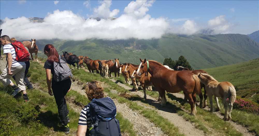 Resor för singelresenärer Singelresor Norden AB